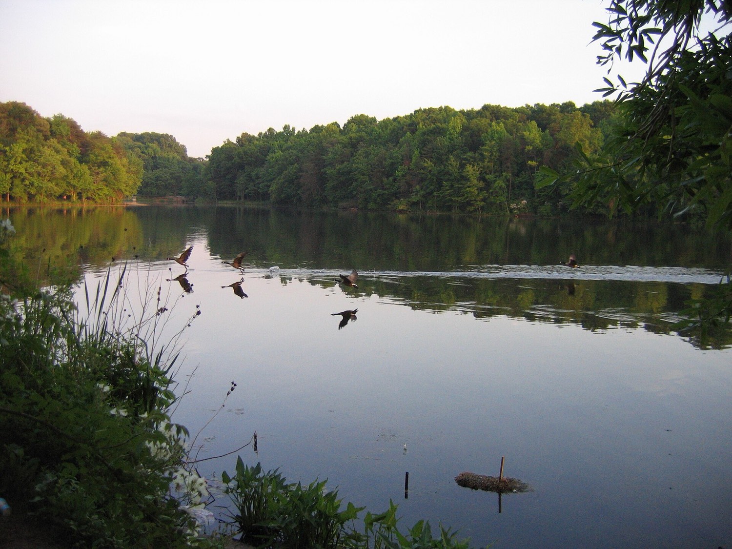 Greenbelt