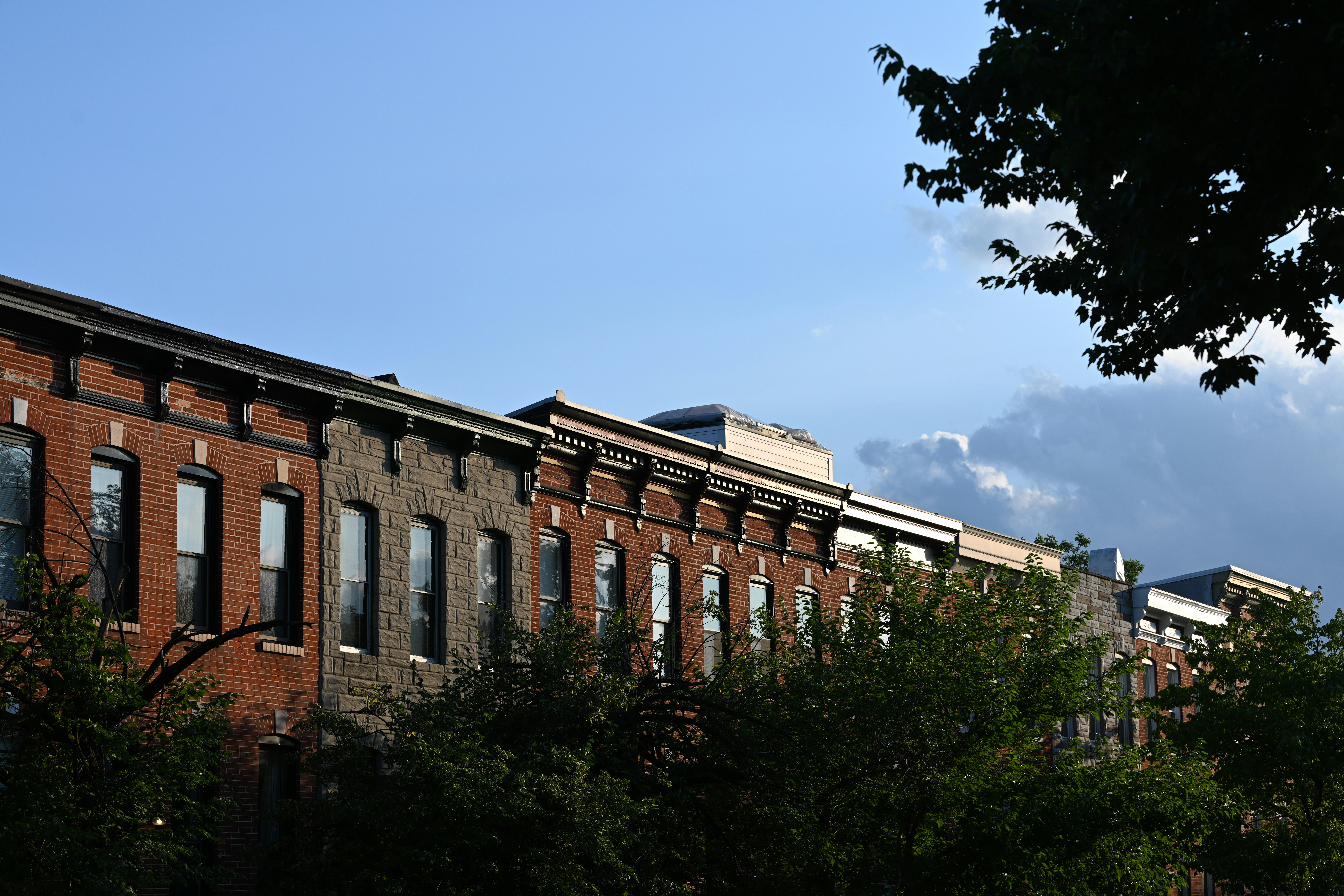 Federal Hill